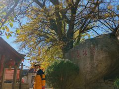 -青岛崂山太清宫