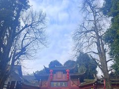 -青城山