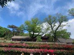 -红螺寺