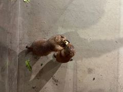 -正佳雨林生态植物园