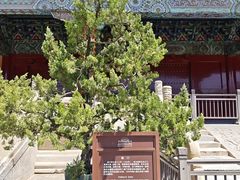-北京市劳动人民文化宫(太庙)