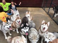 -TrueLove @ Neverland (Husky Cafe)