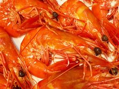 -欢乐海岸美食联盟