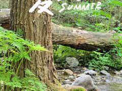 -玉渡山自然风景区