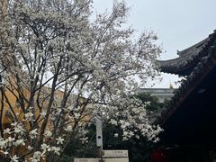 -龙华寺