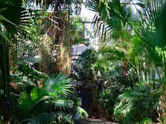 -国家植物园南园