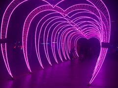 -金砂公园