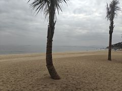 -玫瑰海岸文化旅游度假区