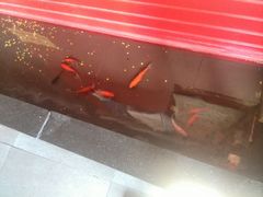 android_upload_pic-小牛海记潮汕牛肉店(永定路店)
