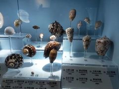 -温州博物馆