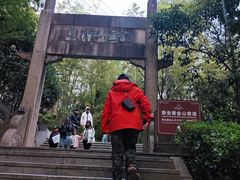 -紫金山山顶公园