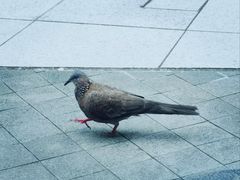 -香港ELEMENTS圆方