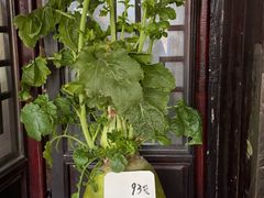 -丝绸小镇荻港古村