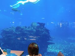 -海棠湾洲际-涛·海底餐厅·美人鱼·自助餐·海底隧道