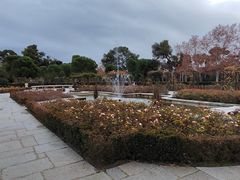 -丽池公园