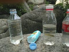 -碓臼峪自然风景区