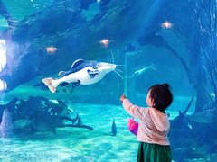 -华夏文旅西安度假区