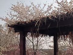 -江苏三台山国家森林公园