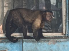 -秦皇岛野生动物园