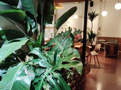 -Wagas沃歌斯(枫蓝国际店)