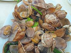 -秋姐美食店 始于2014年(旅游大道店)