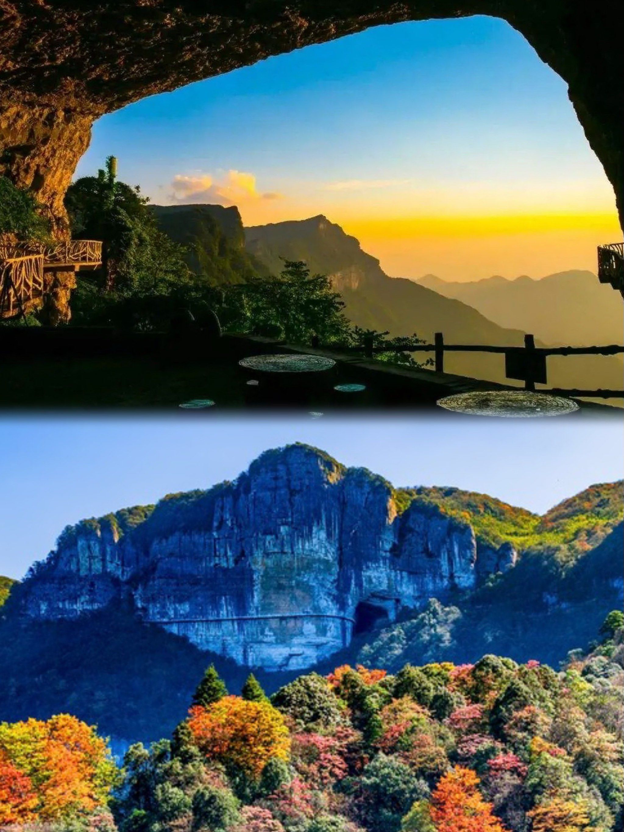 创作者赏金计划#为了这个景色我出了趟门
探秘金佛山,邂逅大自然的