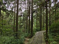 -天柱山风景区
