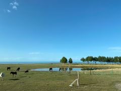 -青海湖国家重点风景名胜区