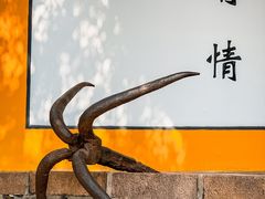 -迎江寺