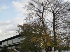 -云里小坐·海泉湾·团建·宴席·下午茶(金堂海泉湾店)