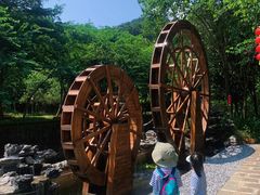 -广州白江湖森林公园