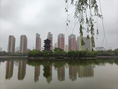 -迎泽公园