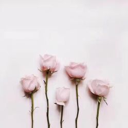 -韩美绣·骨相纹眉·洗眉美瞳线