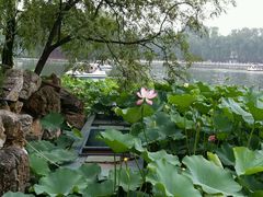 -小王府(什刹海店)