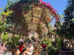 -The Grounds of Alexandria