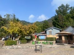 -遵化市禅林寺古银杏风景园
