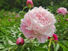 -长春公园(普阳街道)