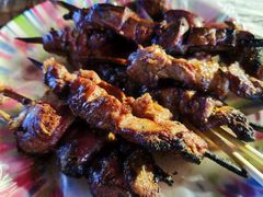-艾力江和田馕坑烤肉店