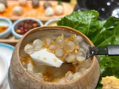 -春润大地海南椰子鸡(沙井京基百纳广场店)