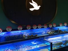 -鸽子侯·家宴·平价海鲜(市图书馆店)