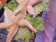 -十二海鲜(南湖店)