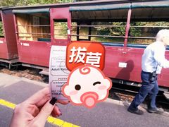 -普芬比利蒸汽火车