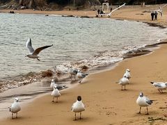 -青岛第二海水浴场