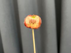 -金粒门·新鲜零食(坡子街店)