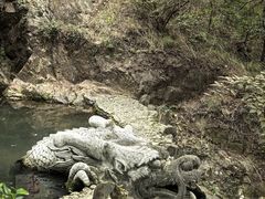 -宁波市保国寺古建筑博物馆