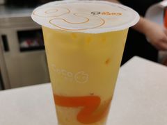 -CoCo都可(北新桥店)
