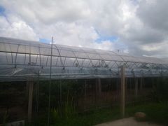 -美家乐农庄·露营·团建(大治路店)