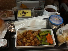 飞机餐中餐-新加坡航空公司(ION)