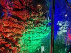 -浮戏山雪花洞风景名胜区