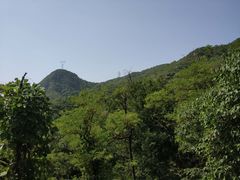 -阳台山自然风景区